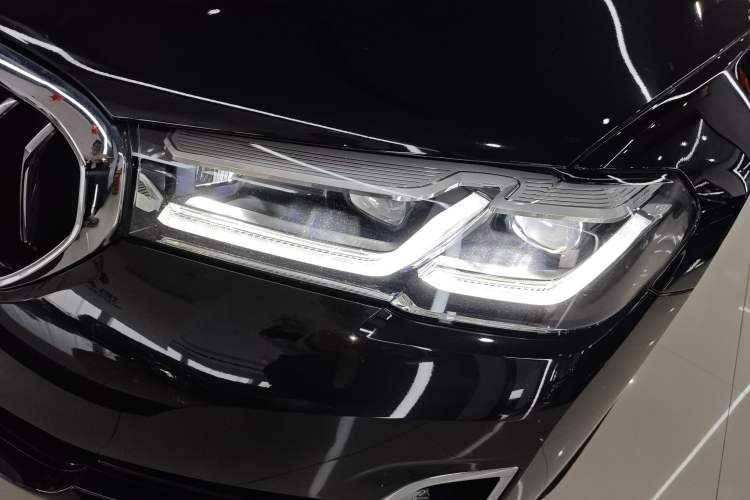 Used BMW 5 Series 2021 530Li Leading Luxury Package