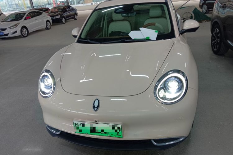 Used ORA Good Cat 2024 401 km Luxury Version