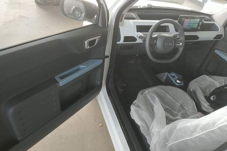 Used  Panda 2024 Panda Mini 200km Endurance Bear
