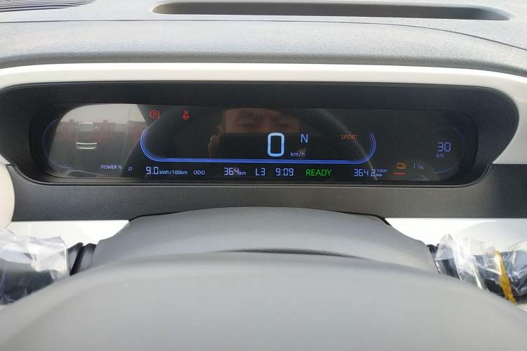 Used  Panda 2025 210km Panda Kart