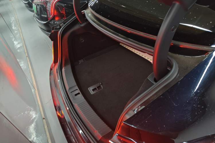 Used Hongqi H9 2024 2.0T Qixiang Private Style Edition
