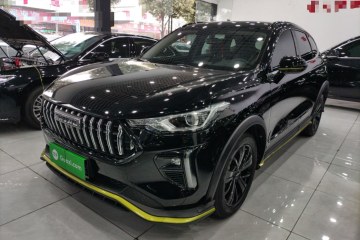 Used Haval LHERY 2021 GT Edition 1.5T Silver Rabbit