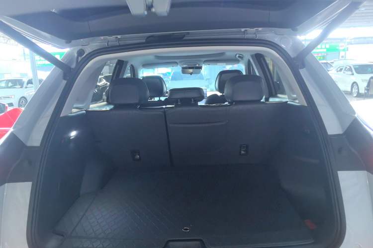 Used  E5 2024 530km Starship Edition
