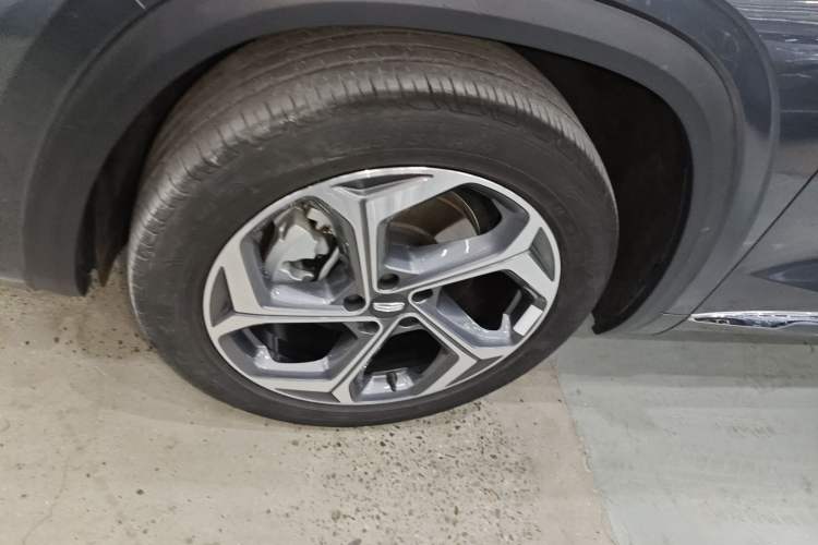 Used Geely Auto Monjaro L 2021 2.0TD DCT EVO Two-Wheel Drive Prestige Version
