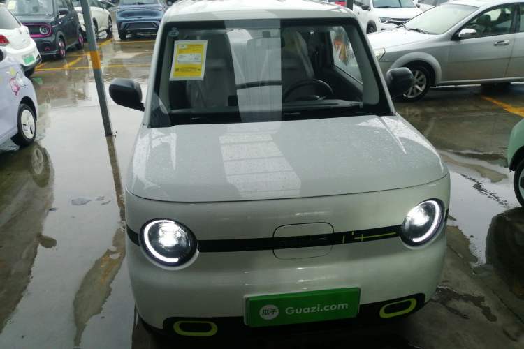 Used  Panda 2025 210 km – Yuanqi Bear
