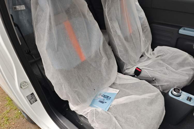 Used  Panda 2024 Panda Mini 200km Endurance Bear