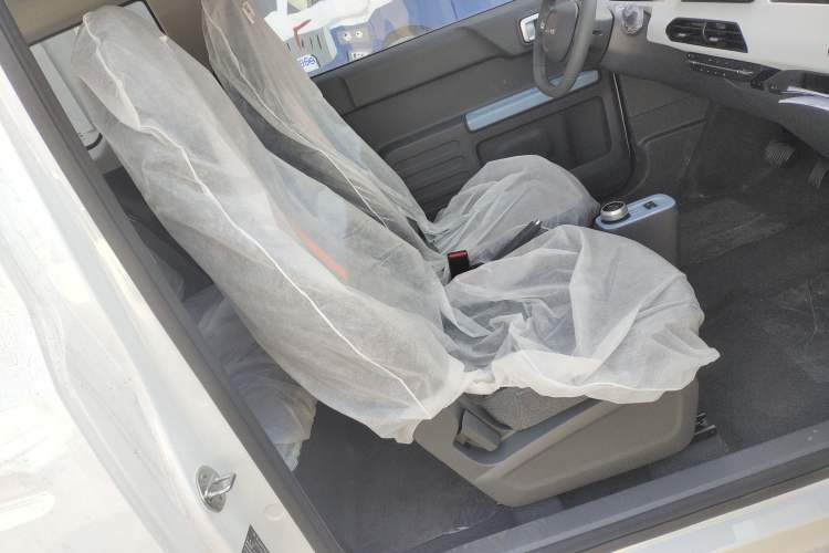 Used  Panda 2024 Panda Mini 200km Endurance Bear
