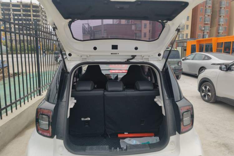 Used SOL E10X 2022 Flower Fairy Design Four-Leaf Clover