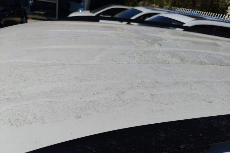 Used Volkswagen Tiguan L 2021 280TSI Automatic Two-Wheel Drive Comfort Edition – Low-Trim Version
