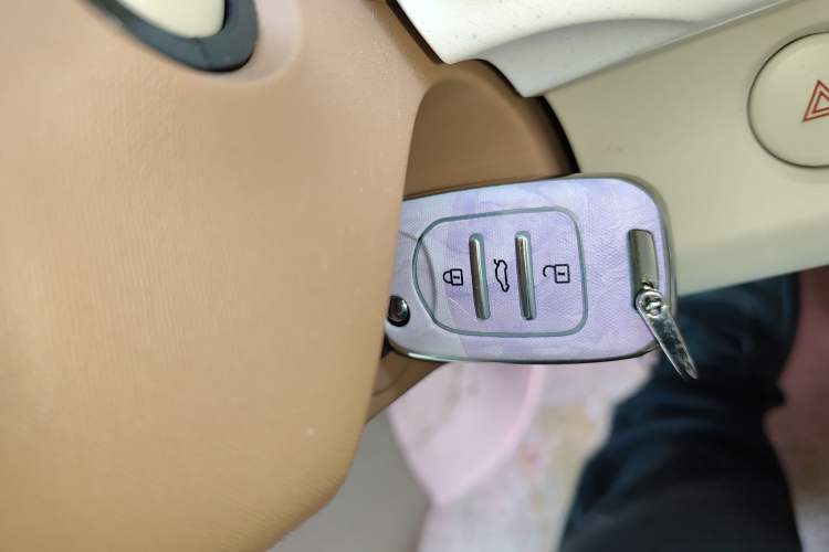 Used Wuling Hongguang MINIEV 2024 3rd Generation 215km Youth Edition
