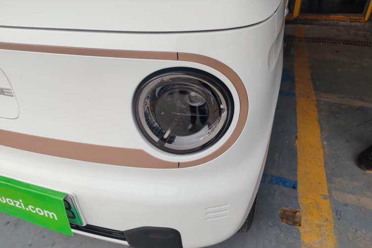 Used  Panda 2024 Panda Mini 200km Endurance Bear
