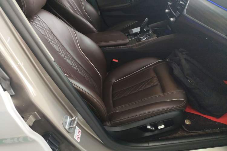 Used BMW 5 Series New Energy 2020 530Le Luxury Package