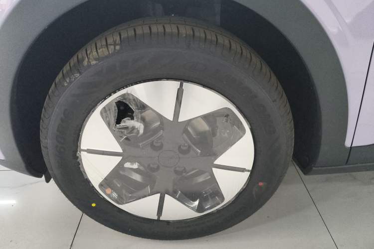 Used  Geome 2025 410 km Free Version
