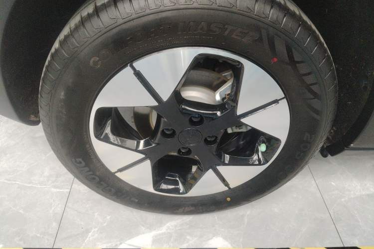 Used  Geome 2025 310km Dream Edition
