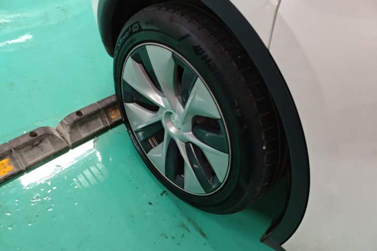 Used Tesla Model Y 2021 Standard Range Rear-Wheel Drive Version
