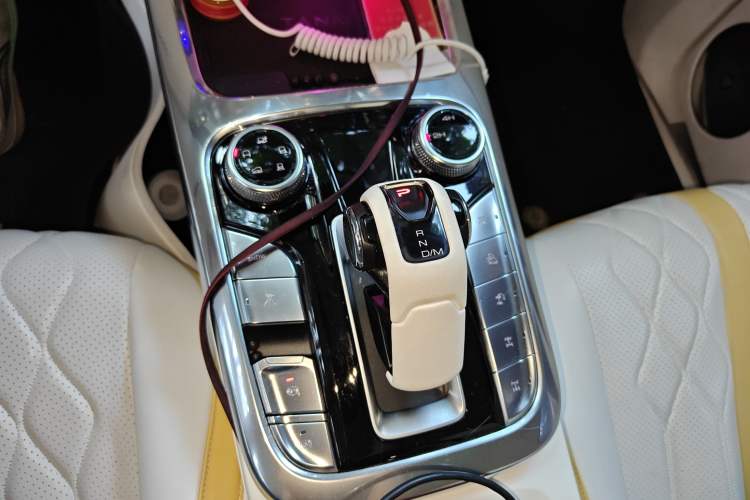 Used  Tank 300 2021 2.0T Cyber Tank
