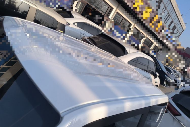 Used  Panda 2023 Panda Mini 200km Endurance Bear
