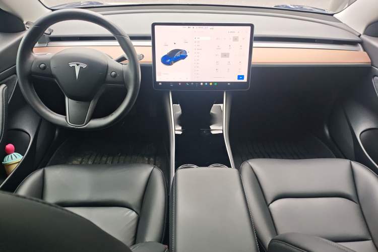 Used Tesla Model 3 2019 Standard Range Rear-Drive Upgraded Version