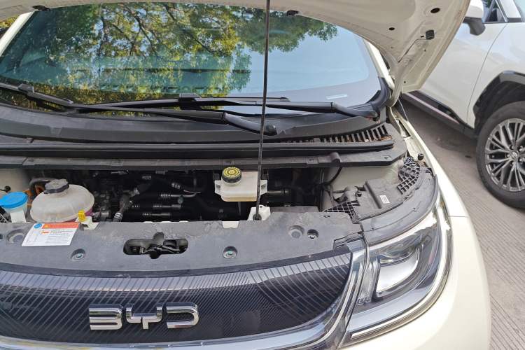 Used BYD Dolphin 2024 Honor Edition 420km Fashion Version
