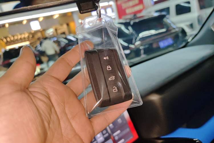 Used  Tank 300 2023 2.0T Cyber Knight