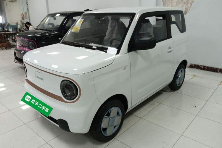 Used  Panda 2024 Panda Mini 200km Endurance Bear
