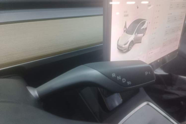 Used Tesla Model Y 2021 Standard Range Rear-Wheel Drive Version
