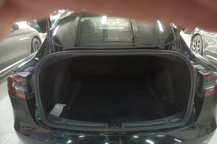 Used Tesla Model 3 (Import) 2019 Long-Range Rear-Wheel-Drive Version