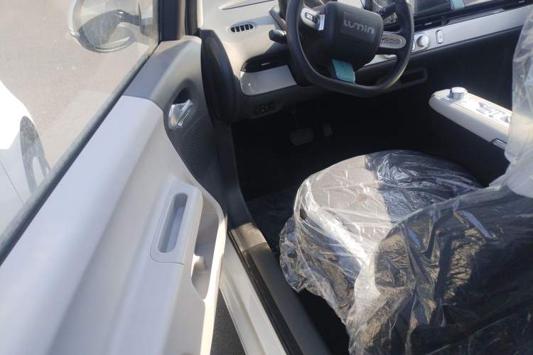 Used  Lumin 2025 205 km Xiangqin Version