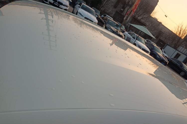 Used BYD Dolphin 2024 Honor Edition 420km Freedom Version
