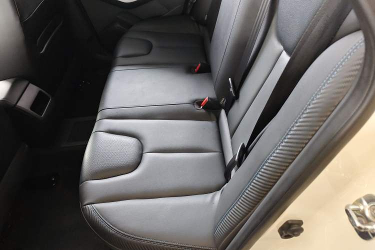 Used Venucia Venucia D60EV 2020 Standard Range Smart Drive Edition