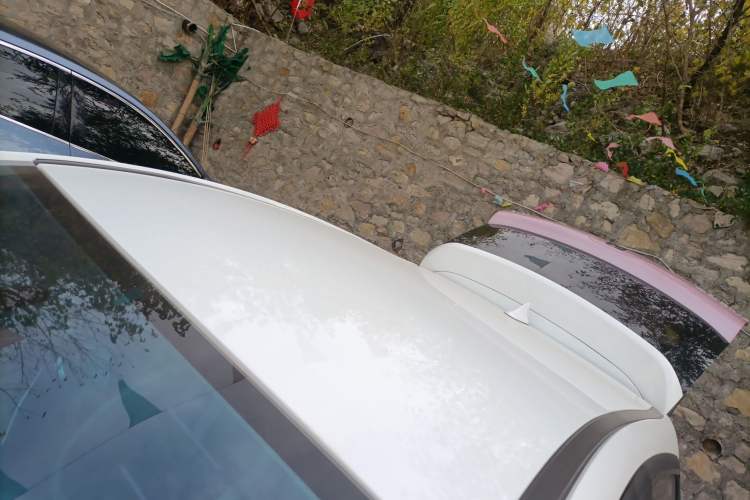 Used SOL E10X 2022 Flower Fairy Design Four-Leaf Clover
