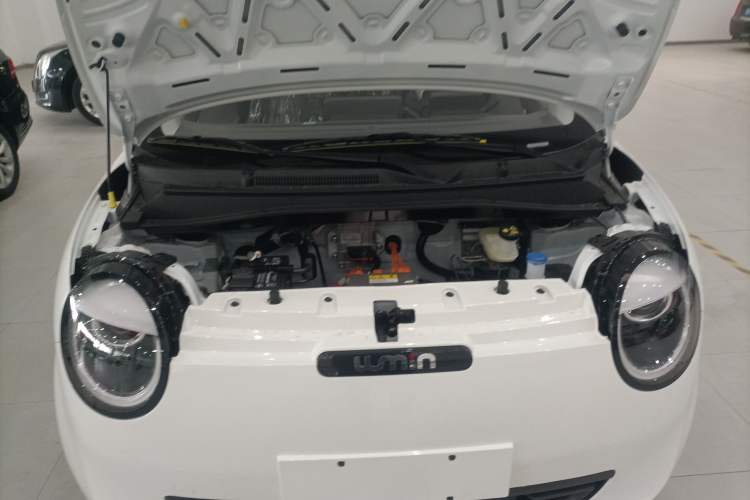 Used  Lumin 2025 205 km Xiangqin Version