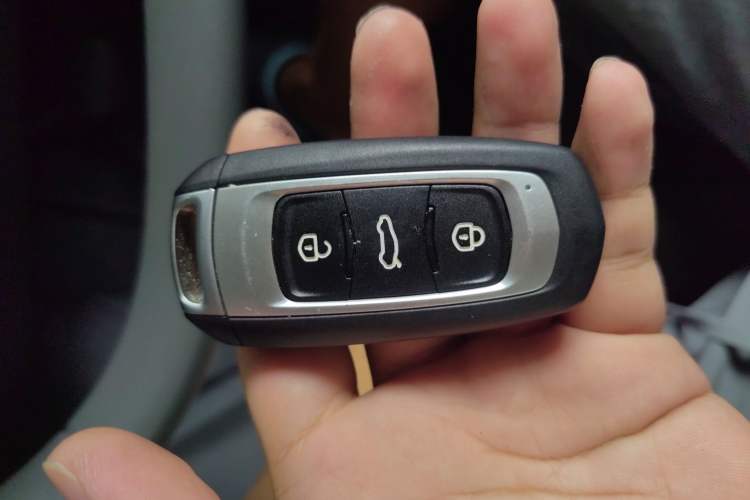 Used  Panda 2024 Panda Mini 200km Endurance Bear
