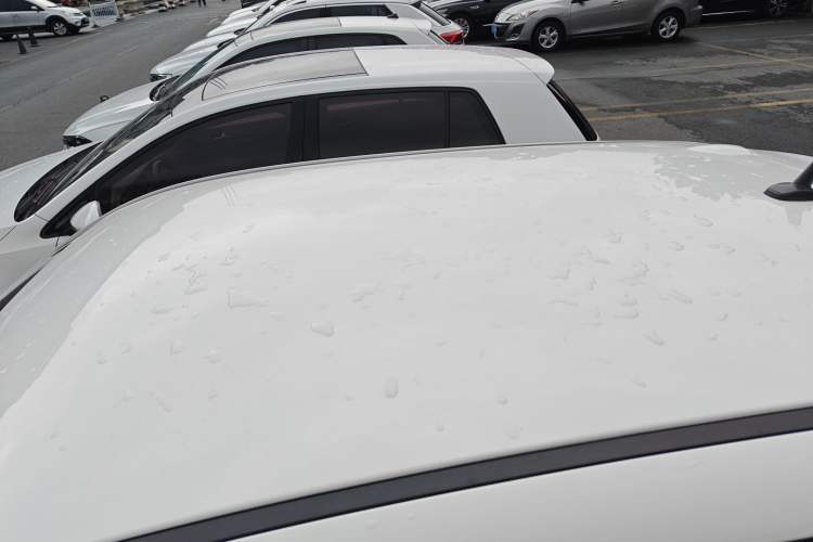 Used ORA Black Cat 2019 301km Standard Edition