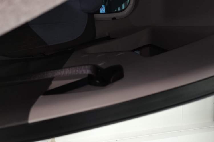 Used  Panda 2023 Panda Mini 200km Endurance Bear
