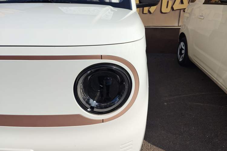 Used  Panda 2024 Panda Mini 200km Endurance Bear