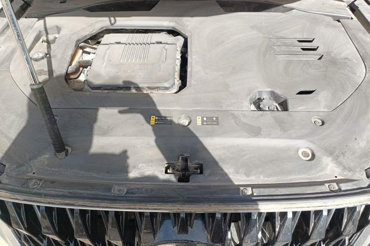 Used GAC Trumpchi GS8 2022 Double-Energy Series 2.0TM Four-Wheel Drive Premium Edition (7 Seats)
