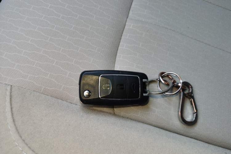 Used FORTHING Lingzhi 2020 M5L 1.6L Utility Model
