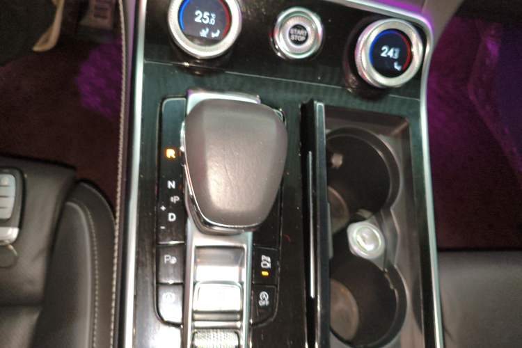 Used Hongqi H9 2020 2.0T Smart Connect Flagship Edition
