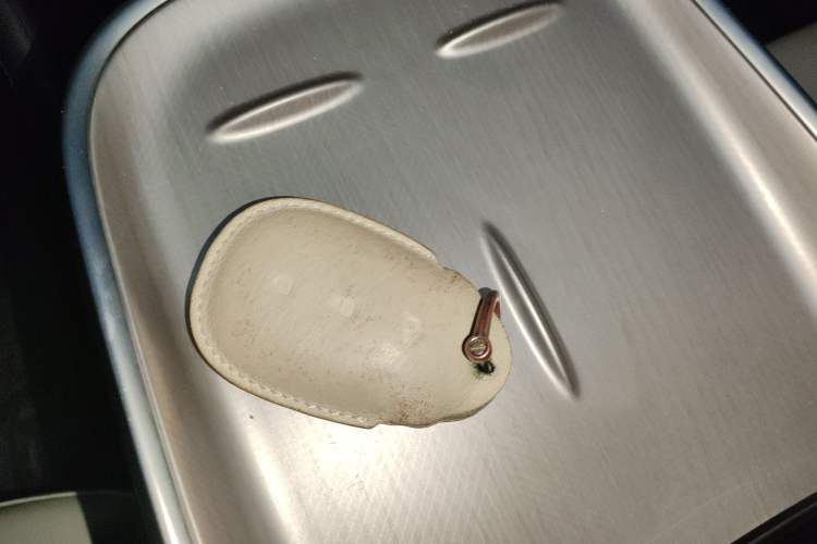 Used  A07 2024 All-Electric "True Fragrance" Edition 710 Flagship Model
