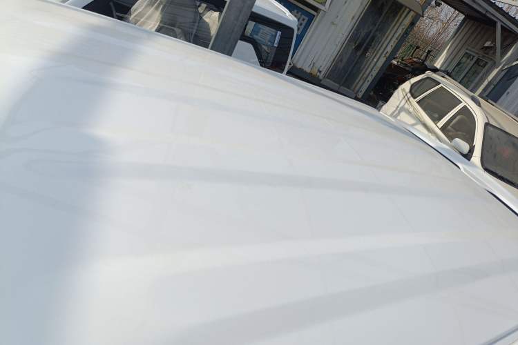 Used  Panda 2025 210 km – Yuanqi Bear