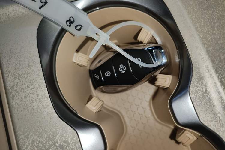 Used Hongqi Tiangong 08 2025 605 Pioneer Edition