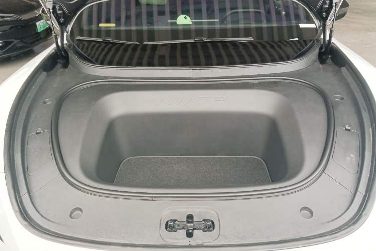 Used  06 2025 Ultra Pure Electric Edition
