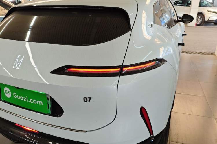 Used  07 2024 Pro Pure Electric Version
