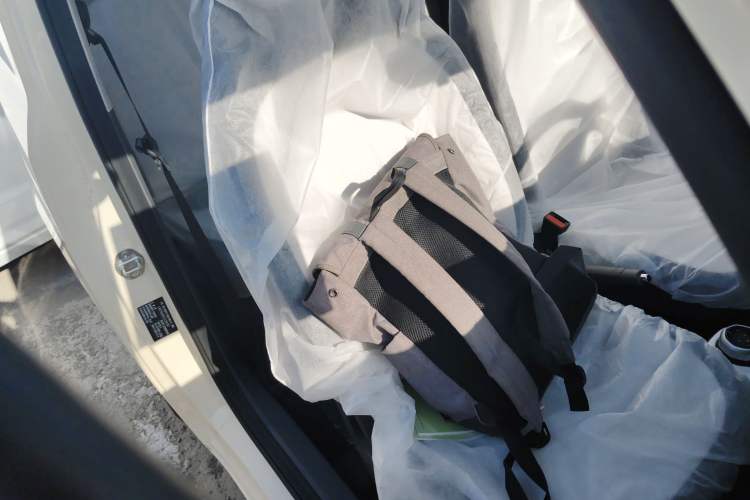 Used  Panda 2025 210 km – Yuanqi Bear
