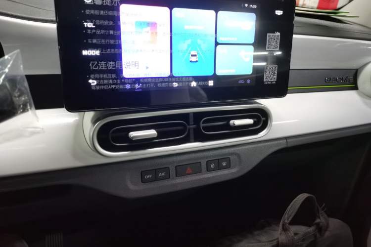 Used  Panda 2025 210 km – Yuanqi Bear