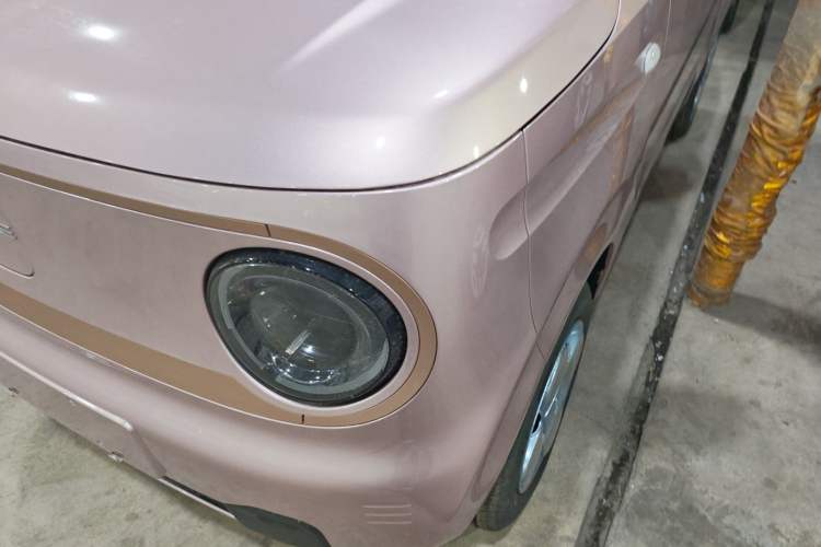 Used  Panda 2024 Panda Mini 200km Endurance Bear