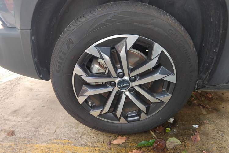 Used Haval DARGO 2024 1.5T DCT Border Collie Edition
