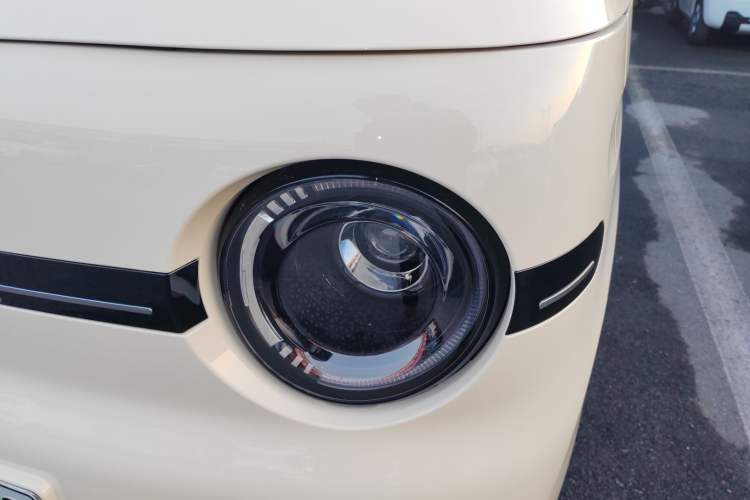 Used  Panda 2025 210 km – Yuanqi Bear
