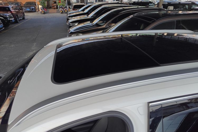 Used Geely Auto Monjaro L 2024 2.0TD High-Power Automatic Two-Wheel Drive Skyline Edition
